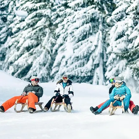 Haus Holzmann Radstadt