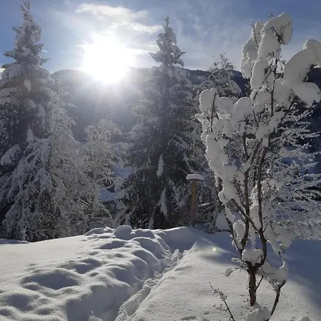 Haus Holzmann Apartmán